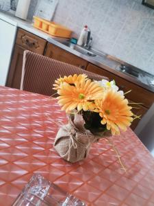 Fotografie z fotogalerie ubytování Apartments Petrica v destinaci Malinska