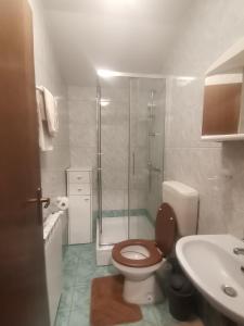 Koupelna v ubytování Apartments Petrica