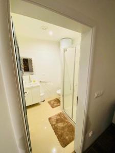 a white bathroom with a shower and a toilet at Apartmán Ginko I in Koliba