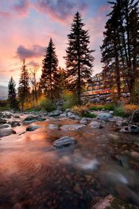 a river with rocks and trees at sunset at Grand Hyatt Vail in Vail