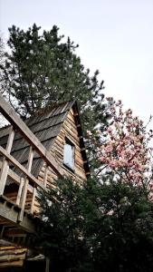 a building with a window next to a tree at Radihaus & Treehaus Żar - Arkadia in Międzybrodzie Żywieckie