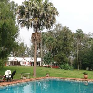 a swimming pool with a palm tree and a house at Estancia las Mercedes in Eldorado