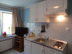 Fotografie z fotogalerie ubytování Apartments in Icici 31191 v destinaci Ičići
