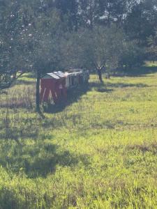 Kép Agriturismo Le Biricoccole szállásáról Vadában a galériában