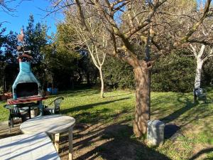 A garden outside Agriturismo Le Biricoccole