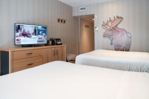 Voodi või voodid majutusasutuse Moose Hotel and Suites toas