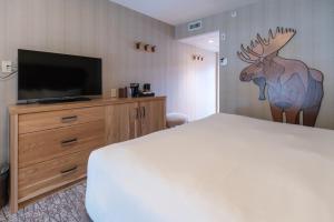 Televiisor ja/või meelelahutuskeskus majutusasutuses Moose Hotel and Suites