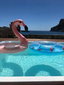 a pool with an inflatable flamingo in the water at Yiannis Seafront Villa Paleokastritsa in Paleokastritsa +26 photos