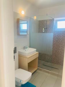 een badkamer met een toilet, een wastafel en een douche bij Dreams Studio in Otopeni