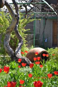 Giardino di Milorava's Guest House & Wine Cellar