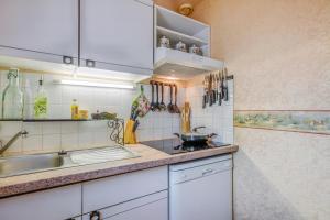 uma cozinha com um lavatório e uma bancada em Le Snow em Saint-Léger-les-Mélèzes