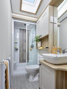 a bathroom with a toilet and a sink and a shower at Bluebell Lodge in South Cerney