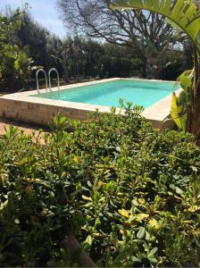 a swimming pool in the middle of a garden at Oasi di Campagna in Modica