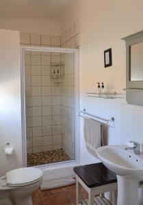 uma casa de banho com um chuveiro, um WC e um lavatório. em De Hoop Collection - Equipped Cottages em De Hoop Nature Reserve