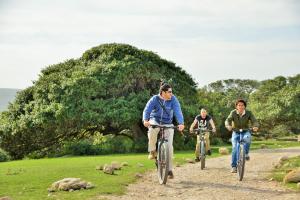 Tres personas en bicicleta por un camino de tierra en De Hoop Collection - Equipped Cottages en De Hoop Nature Reserve