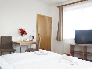 Televízia a/alebo spoločenská miestnosť v ubytovaní Hotel U Brány