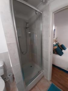 y baño con ducha y puerta de cristal. en North Shore Lodge Skegness, en Skegness