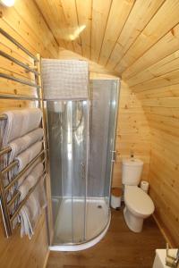 a bathroom with a shower and a toilet in a cabin at Keepers Pod in Arisaig