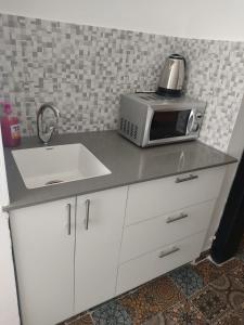 um balcão de cozinha com um micro-ondas e um lavatório em יחידת נופש בבית ורדי em Tiberias