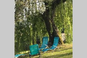 3 Stühle im Gras unter einem Baum in der Unterkunft LES HORTENSIAS Spacieuse Maison en ardoise du pays FIBRE in Voutezac