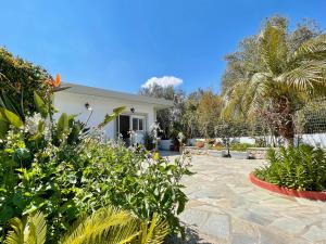 einen Garten mit einem Haus und einigen Pflanzen in der Unterkunft Archangelos Garden House in Archangelos