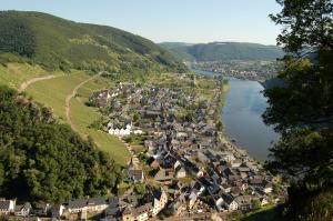 eine Luftansicht einer Stadt neben einem Fluss in der Unterkunft DORMERO Moselhotel Koblenz-Alken in Alken