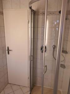una ducha con puerta de cristal en un baño en Simone's Ferienwohnung am Plöner See, en Bosau