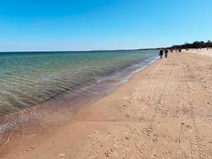 grupa ludzi spacerujących po plaży w obiekcie Piasek Sopotu w mieście Sopot