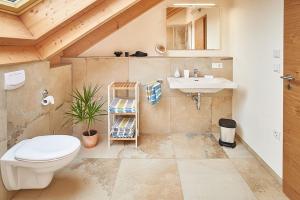 a bathroom with a toilet and a sink at Ferienhof Halbig in Riedenburg