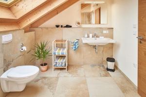 un baño con inodoro y lavabo en Ferienhof Halbig, en Riedenburg