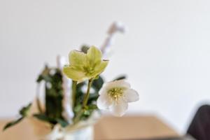 Fotografie z fotogalerie ubytování Ski & Nature Apartment v destinaci Mauterndorf