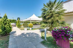Vonkajšia záhrada v ubytovaní Residence Blu Marlin Natural beach