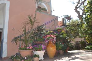 Vonkajšia záhrada v ubytovaní Piccolo Tirreno Hotel Residence