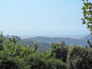 MontemagnoにあるHoliday Home Villetta degli Orti by Interhomeの木陰からの山々の眺め