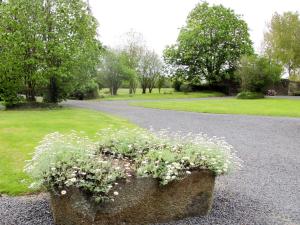 a stone planter with white flowers in a park at Holiday Home La Voisinière no-1 by Interhome in Savigny