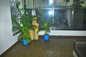 três vasos de plantas sentadas em frente a uma janela em Pagadala Grand Residency em Bāpatla