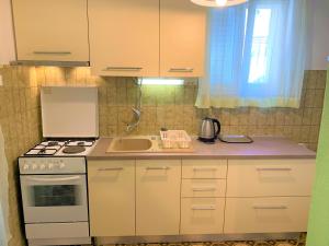 Kuchyň nebo kuchyňský kout v ubytování Roko apartment house