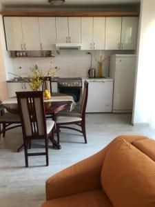 Kuchyň nebo kuchyňský kout v ubytování Apartman Igalo Centar
