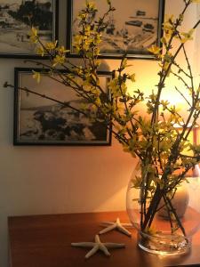 Fotografie z fotogalerie ubytování Apartman Igalo Centar v destinaci Igalo