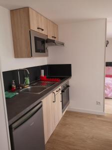 eine kleine Küche mit einer Spüle und einer Mikrowelle in der Unterkunft Charmante Maison studio proche mer et commerces in Ouistreham