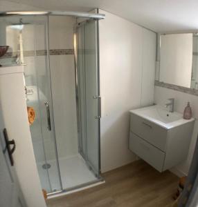 a bathroom with a shower and a sink at Le celebrity in Agen