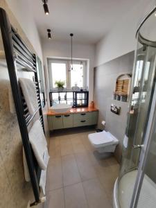 a bathroom with a shower and a sink and a toilet at PIF Apartments Sadoveanu in Braşov +65 photos
