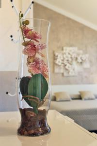 Kép Flower Apartments szállásáról Bardolinóban a galériában
