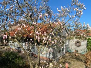 Zahrada ubytování Bed and Breakfast Het Emmapark Medemblik