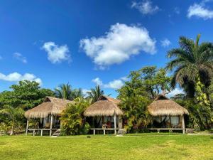 Zahrada ubytování Hotel CasaBakal - A pie de Laguna - Bacalar