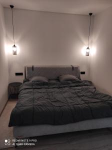 a bedroom with a bed with two lights above it at New loft style apartment in Uzhhorod