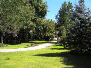 a path in a park with trees and grass at Albergo Ristorante Da Giuseppe in Copparo