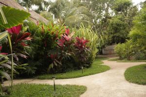 Zahrada ubytování Hotel CasaBakal - A pie de Laguna - Bacalar