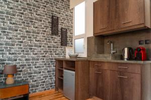 Cuisine ou kitchenette dans l'établissement The Athens Version Luxury Suites