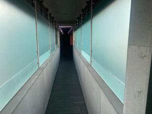 Fotografie z fotogalerie ubytování Motel Pedregal v destinaci Guadalajara